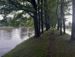 Procházka kolem řeky