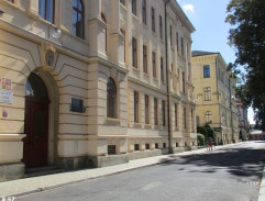 Hvězda zvaná Pelyněk