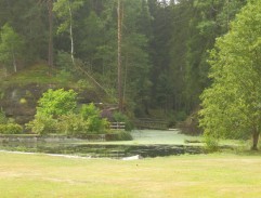 rybník v lese