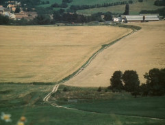 Šimon a farář jdou do Hoštic