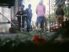 Park ze žabí perspektivy