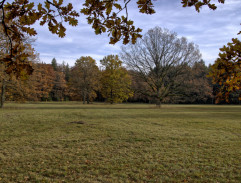 Louka u hájovny hajného Maliny