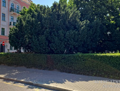 Štěstí přijde v neděli