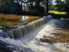 Slunce, seno, erotika