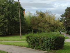 9. Domov jménem Praha