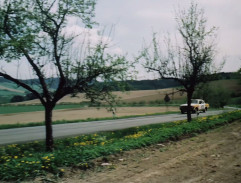 cesta pri autobusovej zastávke