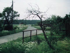 pri autobusoovej zastávke