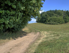 Pronásledování včelami