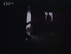 Svědek umírajícího času