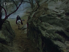 Svědek umírajícího času