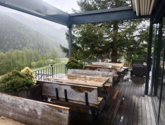 Jak vytrhnout velrybě stoličku