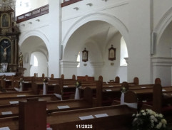 Píseň o šedém holubovi