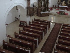 Píseň o šedém holubovi