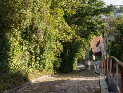 S03E12 Tajné pohřby