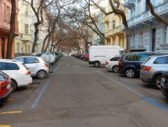 pred antropologickým múzeom