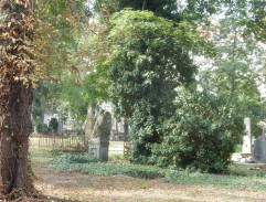 hrob Františky Lázenskej