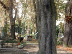 S05E09 Vykradač hrobů