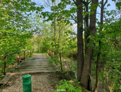 Bratři vzpomínají