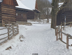 Květa jde na námluvy