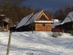 Dvanáct měsíčků