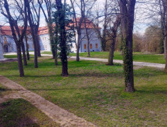 Dívka s mušlí