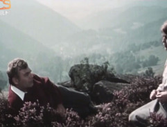 Kronika žhavého léta