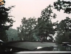 Kronika žhavého léta