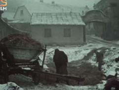 Kronika žhavého léta