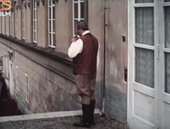 Kronika žhavého léta