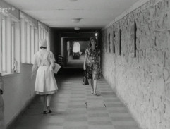 nemocničná chodba 2