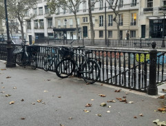 Profesionál 2: Samotář