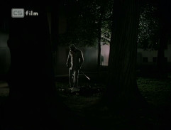 Evropa tančila valčík