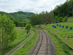 Rebelové