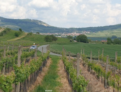 Jízda Strakové s Fuksou