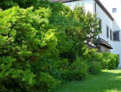 Lentulayov kaštieľ 2