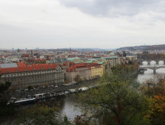 Třicet jedna ve stínu