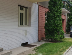 1002. Nejlepší kámoš