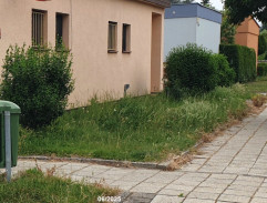 MUDr. Petr Hanák s balónky