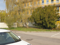 Hanák se Zemanem 2