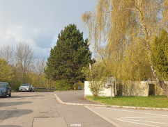 Hanák se Zemanem