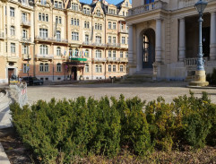 Karlovarští poníci