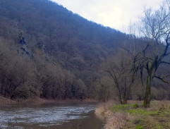 Případ pro rybáře