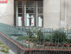 Seznámení s ženichem