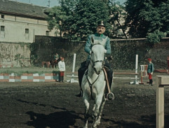 Dobrý voják Švejk