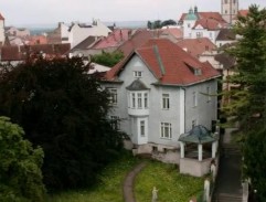 Vítkova vila