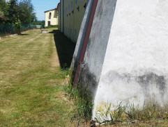 Neporaženi