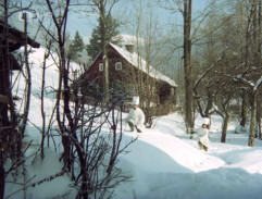 Zasněžená chaloupka