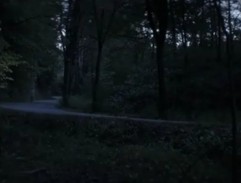 Marek běží lesem