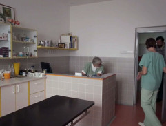 Janova veterinární ordinace