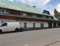 16. Bříza na horách